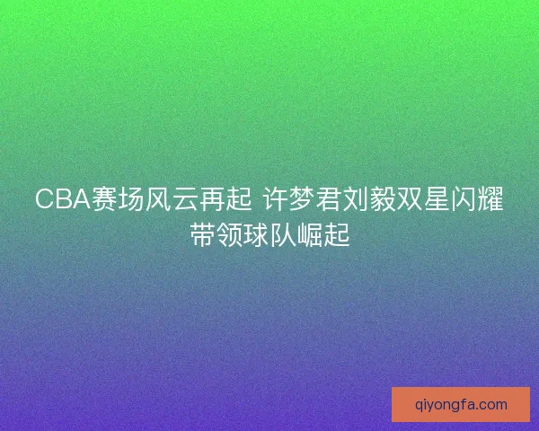 CBA赛场风云再起 许梦君刘毅双星闪耀带领球队崛起