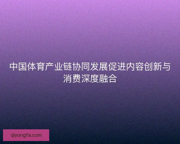 中国体育产业链协同发展促进内容创新与消费深度融合